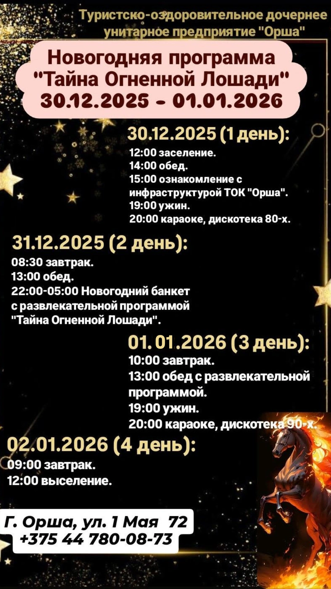 Новогодняя программа «Тайна Огненной Лошади»